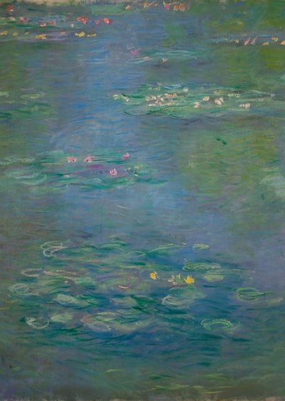 Waterlilies (detail), 1903 by Claude Monet